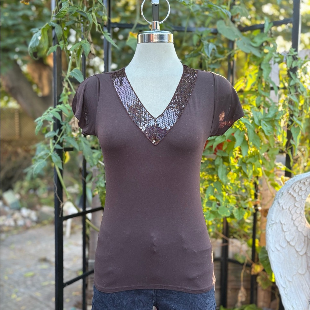 Brown Sequin V-Neck Women's Top